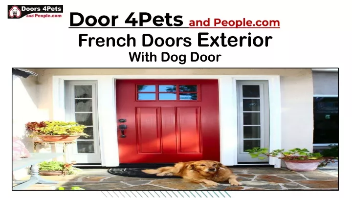 door 4pets and people com