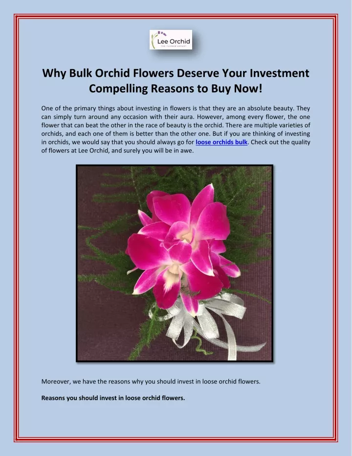 why bulk orchid flowers deserve your investment