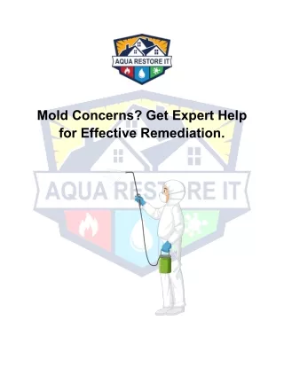 Mold Concerns? Get Expert Help for Effective Remediation.