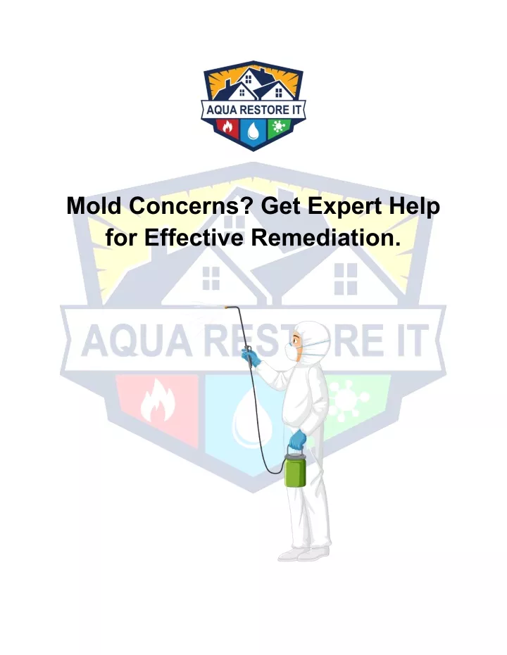 mold concerns get expert help for effective