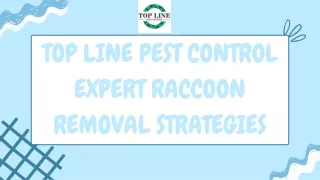 Top Line Pest Control Expert Raccoon Removal Strategies