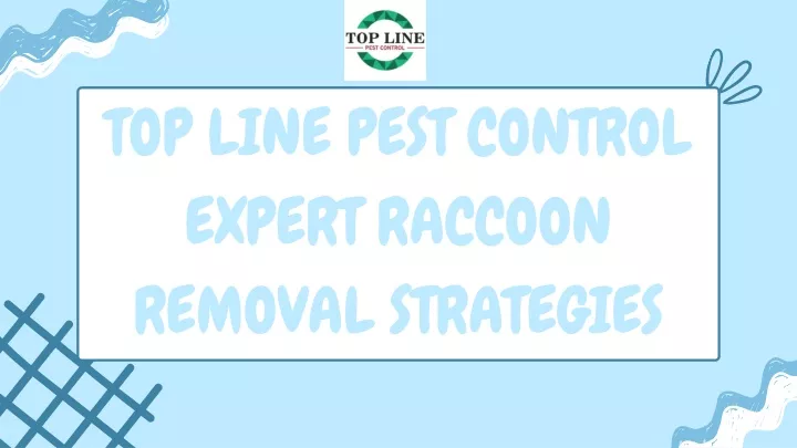 top line pest control expert raccoon removal