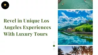 Revel in Unique Los Angeles Experiences With Luxury Tours