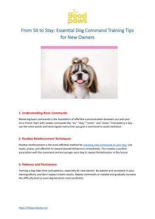 From Sit to Stay Essential Dog Command Training Tips for New Owners
