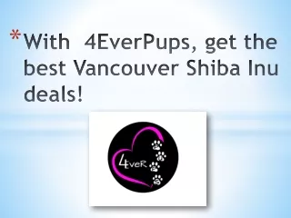 With 4EverPups, get the best Vancouver Shiba Inu deals!