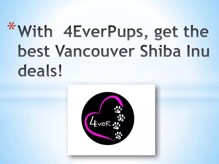 with 4everpups get the best vancouver shiba inu deals