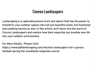 Conroe Landscapers