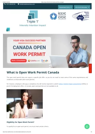 Types of Open Work Permits
