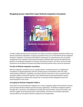 navigating success openteq s expert netsuite