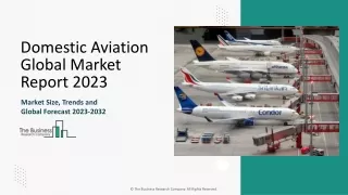 Domestic Aviation Market Size, Share, Trends, Growth Report And Forecast 2033