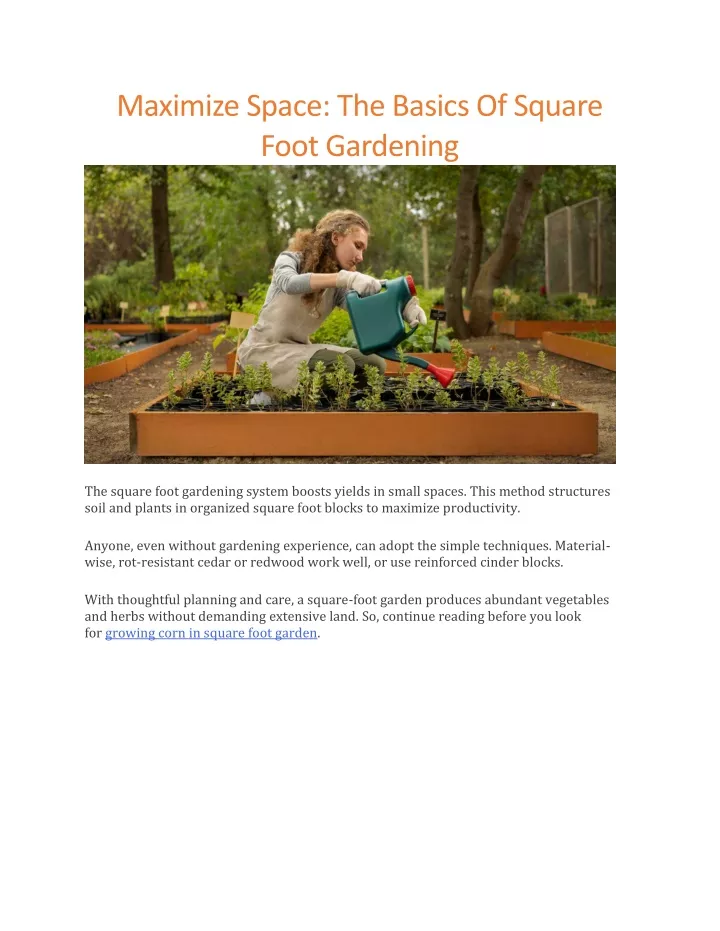 maximize space the basics of square foot gardening