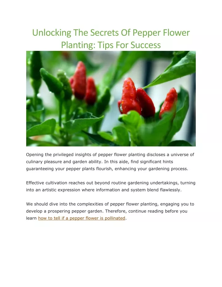 unlocking the secrets of pepper flower planting