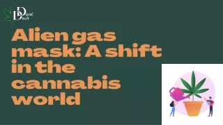 From Seed to Smoke: Digging the Alien Gas Mask Strain