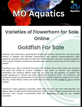 Varieties of Flowerhorn for Sale Online