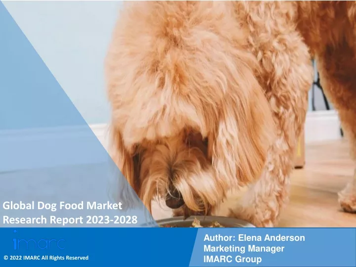 global dog food market research report 2023 2028