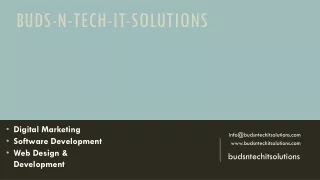 Buds-n-tech-it-Solutions