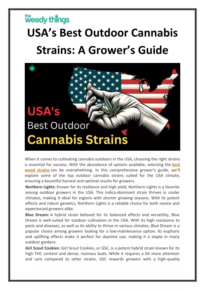 usa s best outdoor cannabis strains a grower