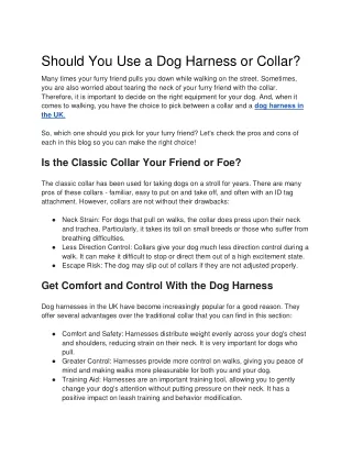 Should You Use a Dog Harness or Collar
