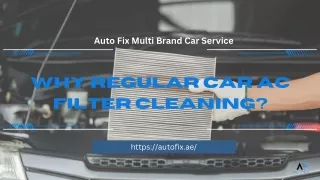 Why Regular Car AC Filter Cleaning