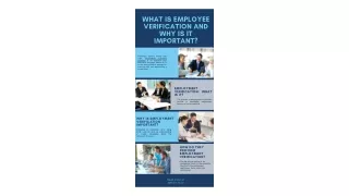 what is employee verification