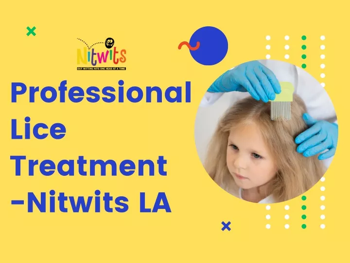 professional lice treatment nitwits la