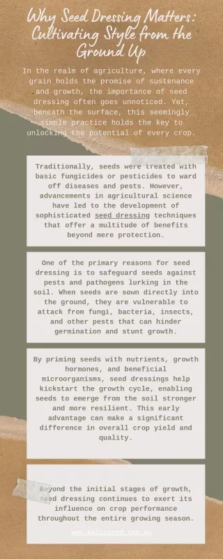 Why Seed Dressing Matters Cultivating Style from the Ground Up