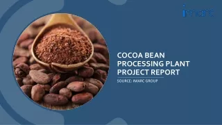 Cocoa Bean Processing Plant Report 2024: Unit Cost & Setup