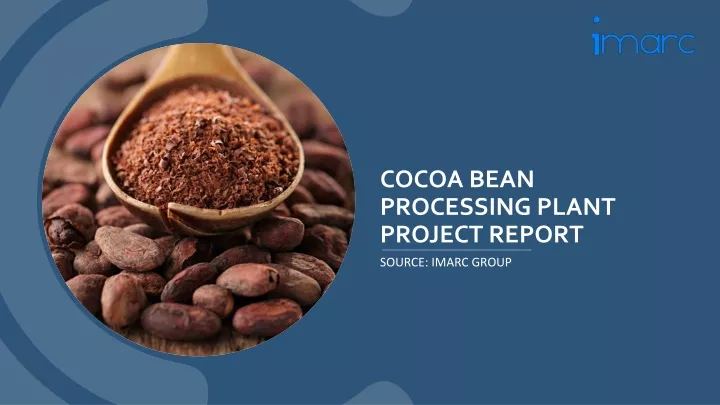 cocoa bean processing plant project report