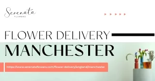 Fresh Flower Delivery in Manchester | Serenata Flowers
