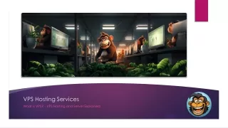 VPS Hosting Services - Baboon Hosting