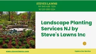 Elevate Outdoor Spaces with Professional Landscape Planting Services