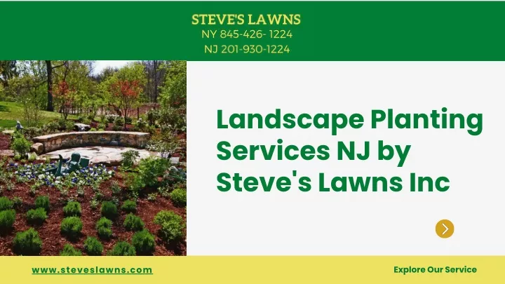 landscape planting services nj by steve s lawns