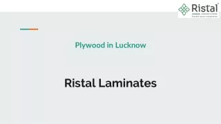 Get Quality Plywood in Lucknow by Ristal Laminates