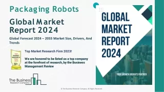 Packaging Robots Market Size, Growth Prospects, Trends And Forecast To 2033