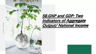 5b gnp and gdp two indicators of aggregate output