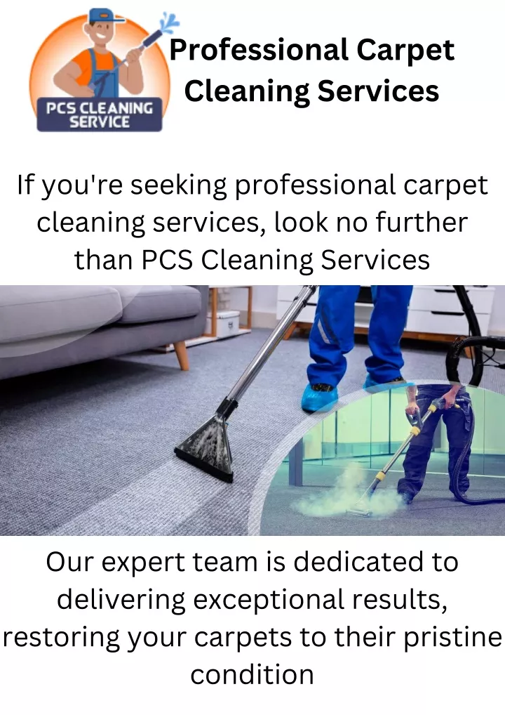 professional carpet cleaning services