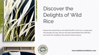 Unlock Culinary Excellence: Shop Premium Wild Rice from Battle River
