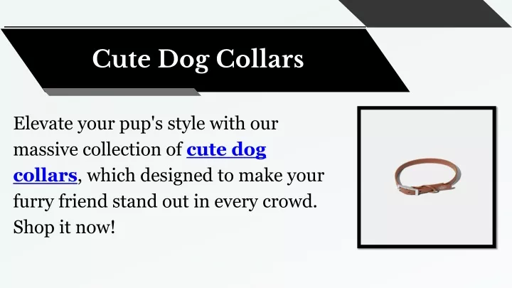 cute dog collars