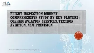 Flight Inspection Market