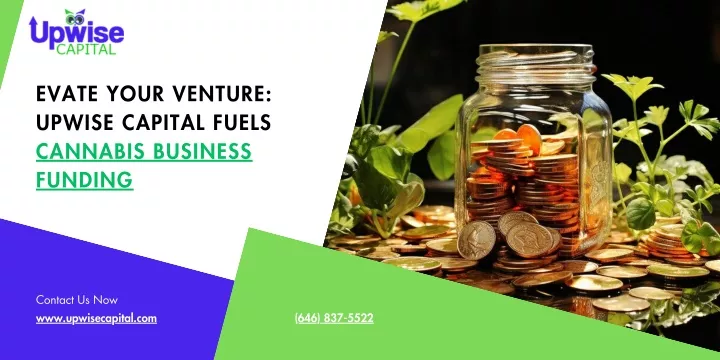 evate your venture upwise capital fuels cannabis