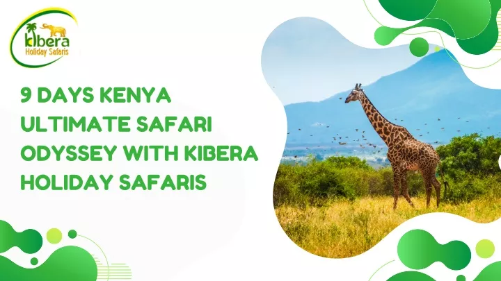 9 days kenya ultimate safari odyssey with kibera