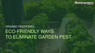 organic pesticides - Eco Friendly Ways to eliminate garden pest