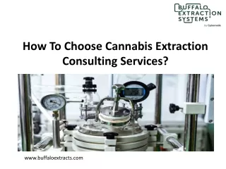 How To Choose Cannabis Extraction Consulting Services?