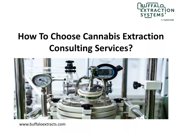 how to choose cannabis extraction consulting services