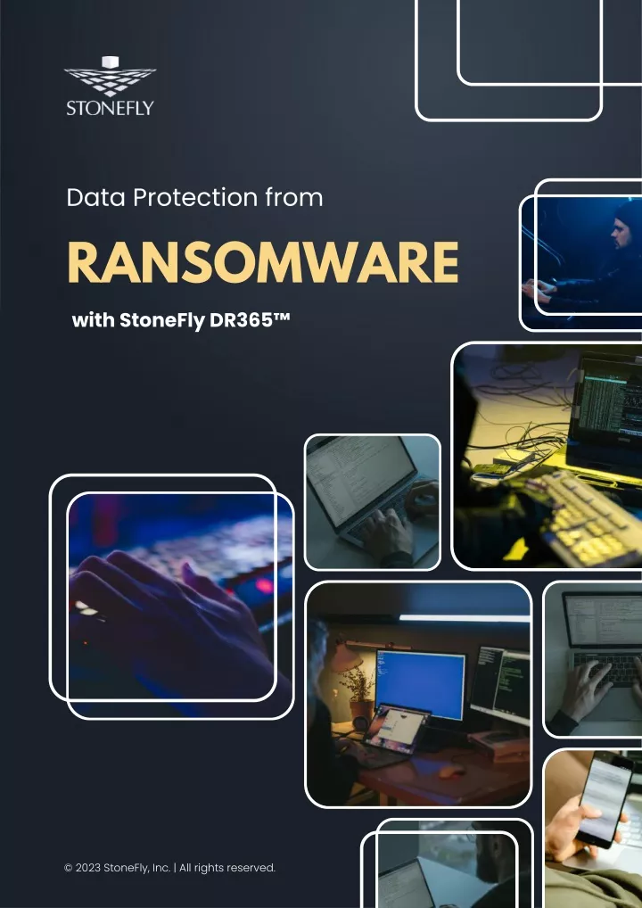 data protection from ransomware with stonefly