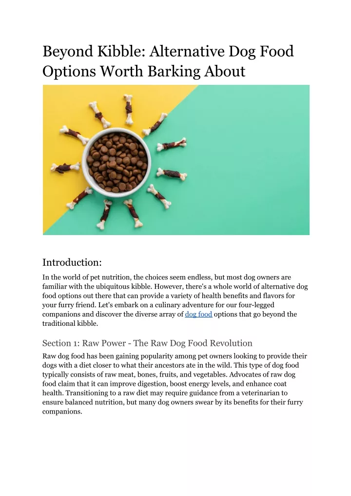 beyond kibble alternative dog food options worth