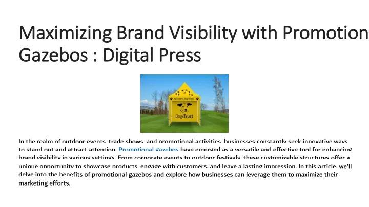 maximizing brand visibility with promotional