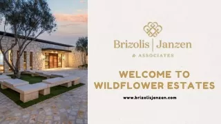 Houses for Sale Rancho Santa Fe - Brizolis Janzen & Associates