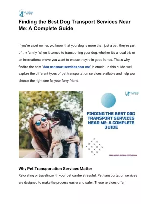 Finding the Best Dog Transport Services Near Me_ A Complete Guide