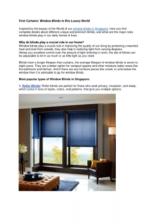 First Curtains: Window Blinds in this Luxury World